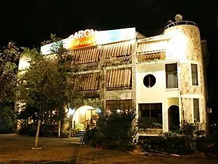 男爵酒店 3* 地拉那